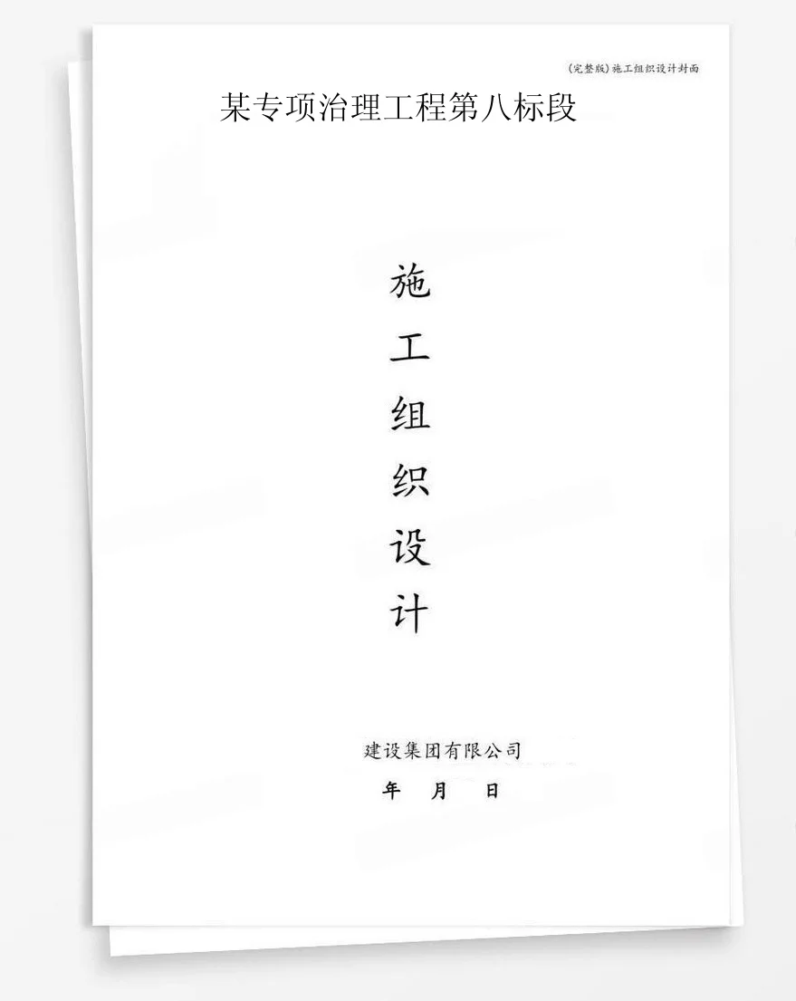 某专项治理工程第八标段 封面