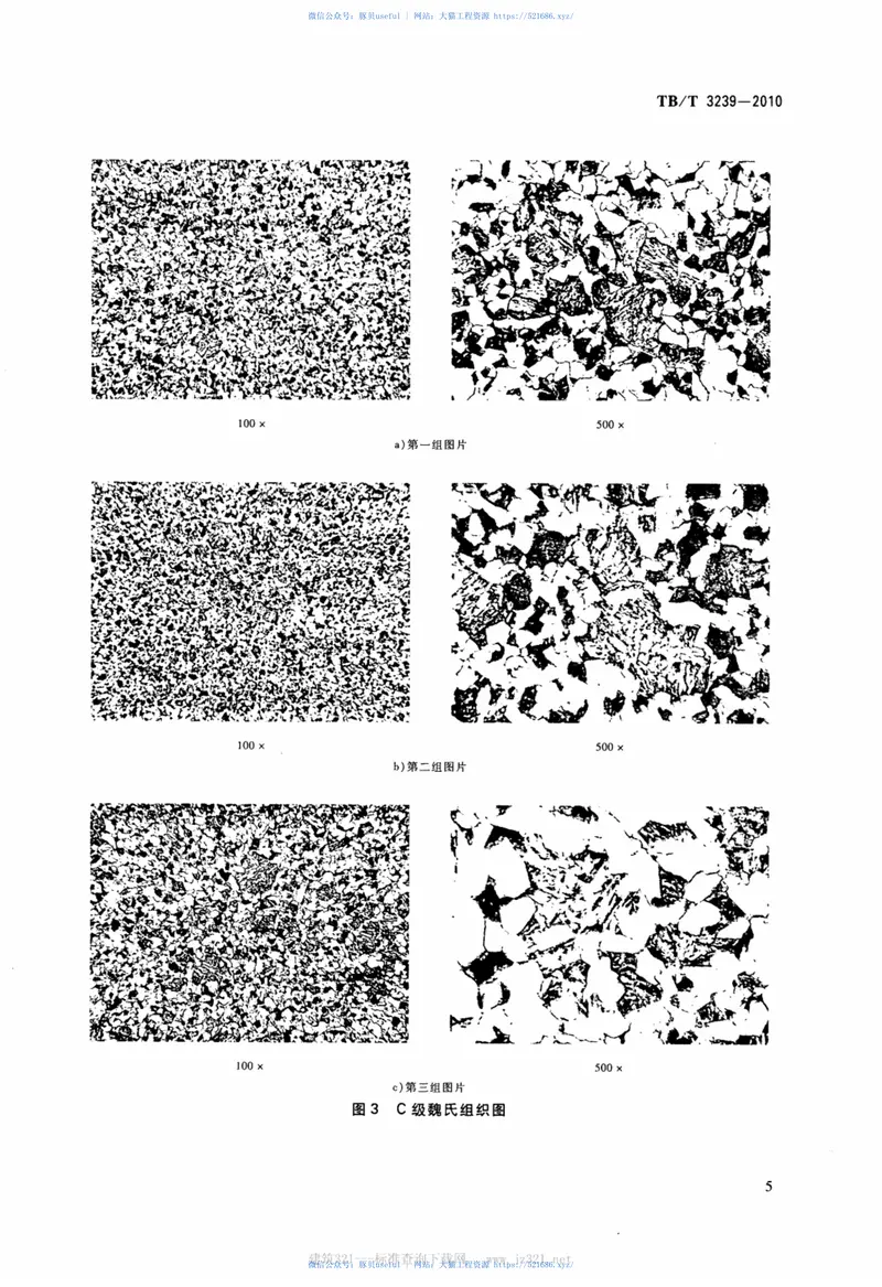 TBT3239-2010铁路用微合金化钢魏氏组织金相检验图谱 预览图