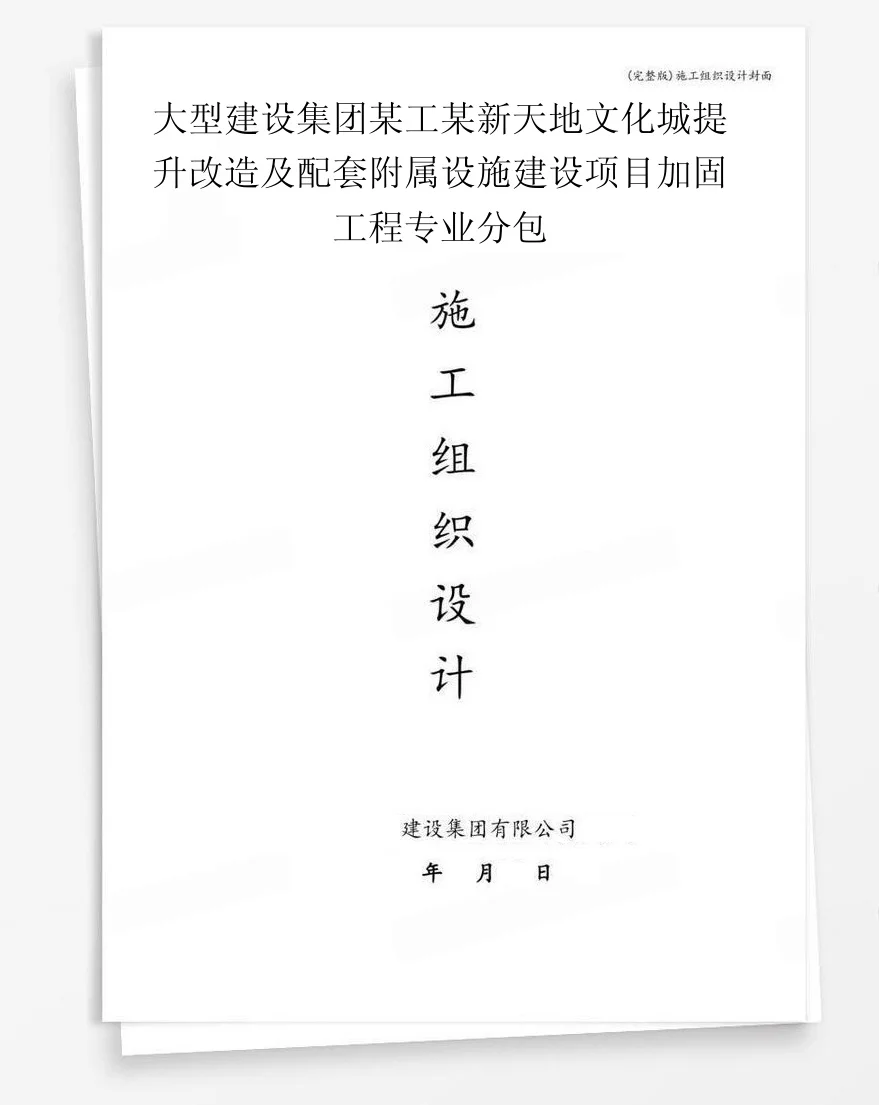 大型建设集团某工某新天地文化城提升改造及配套附属设施建设项目加固工程专业分包 封面
