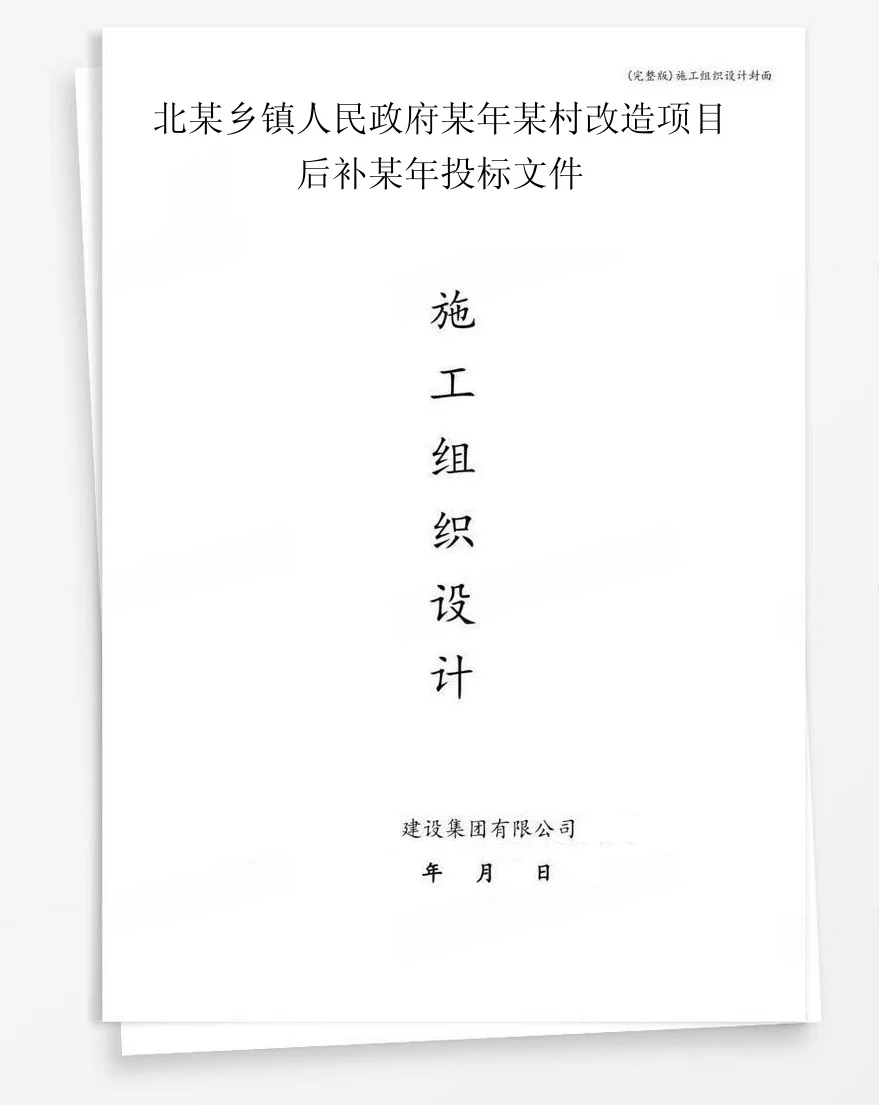 北某乡镇人民政府某年某村改造项目后补某年投标文件 封面