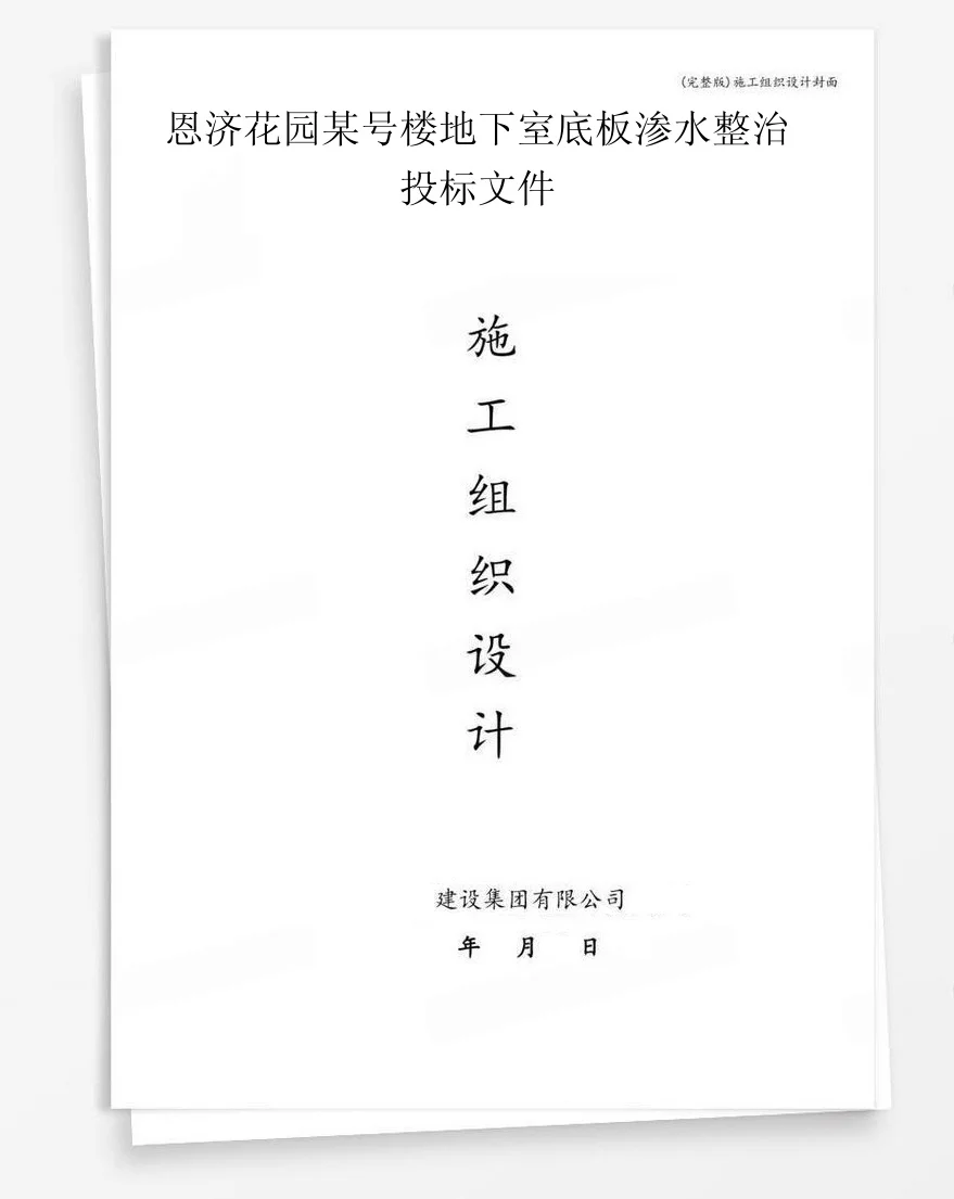 恩济花园某号楼地下室底板渗水整治投标文件 封面