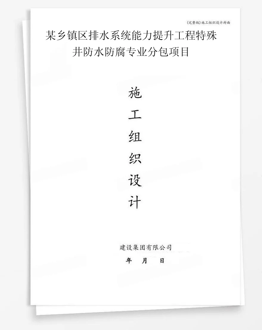 某乡镇区排水系统能力提升工程特殊井防水防腐专业分包项目 封面