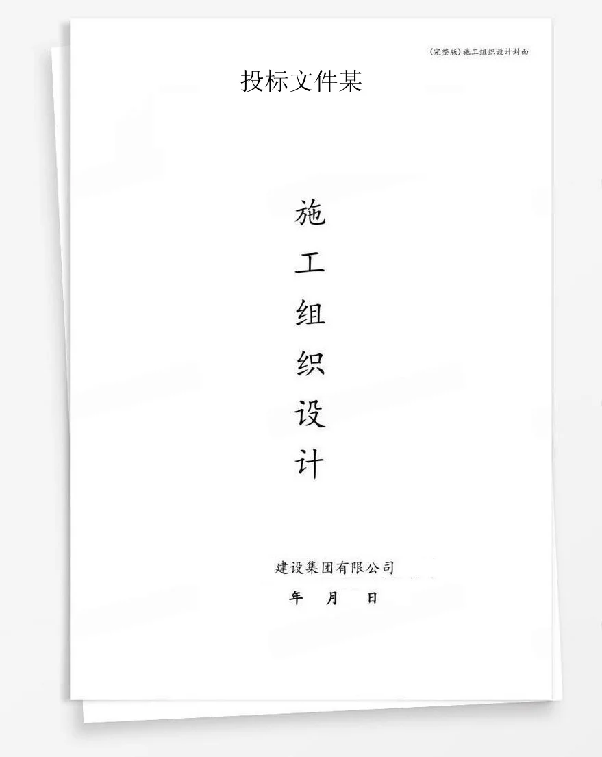 投标文件某 封面